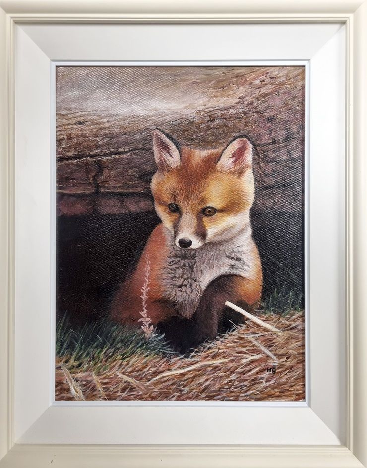 Harry Binions - Fox