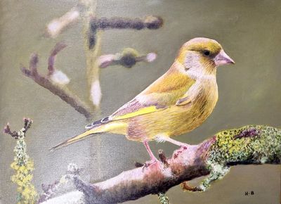 Harry Binions Harry Binions