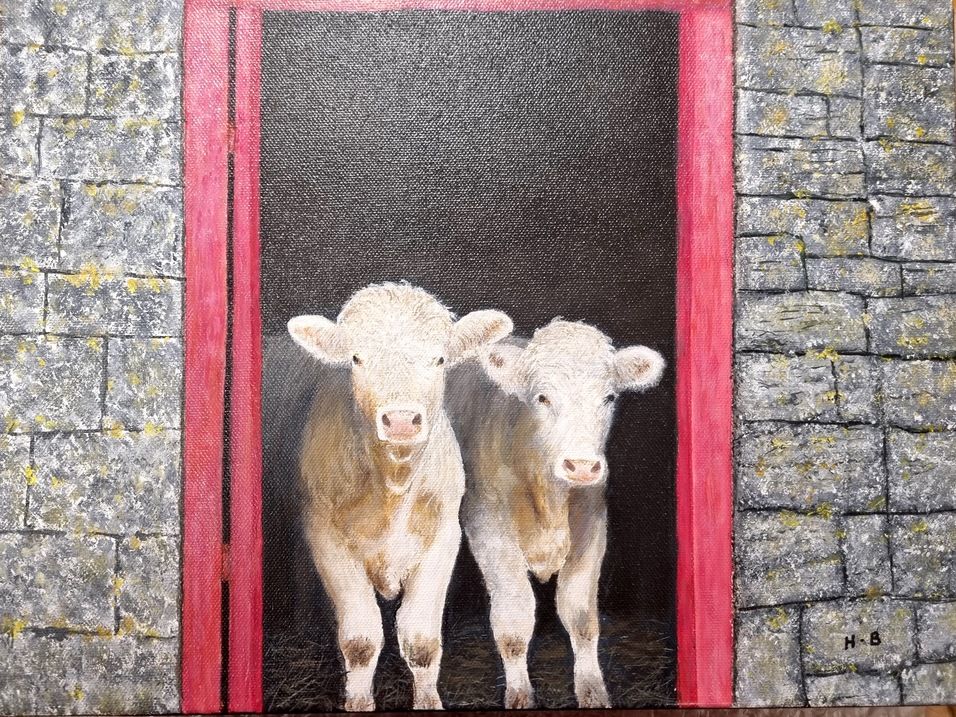 Harry Binions - Cows