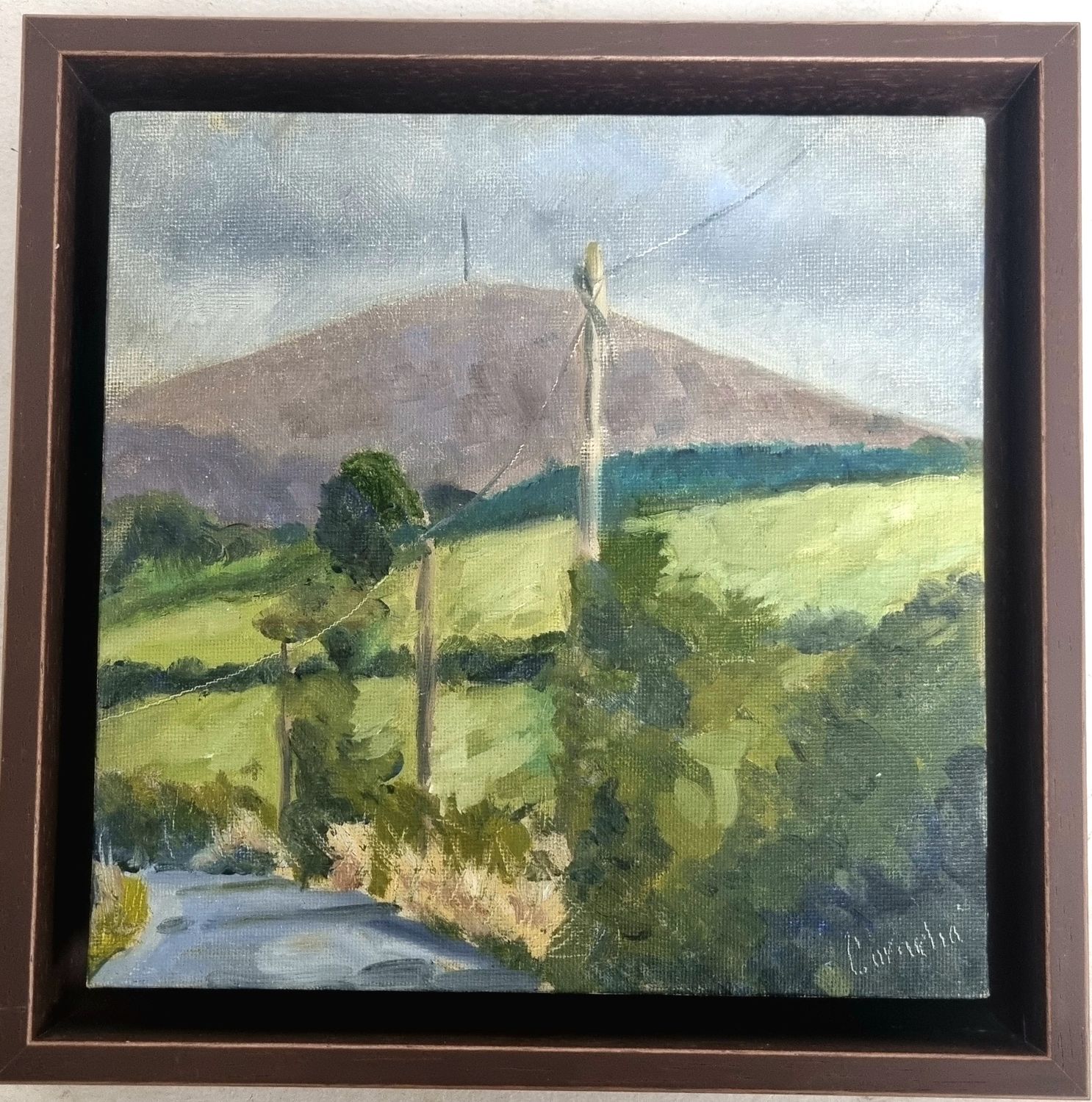 Cornelia McCarthy  - Blackstairs Mountain