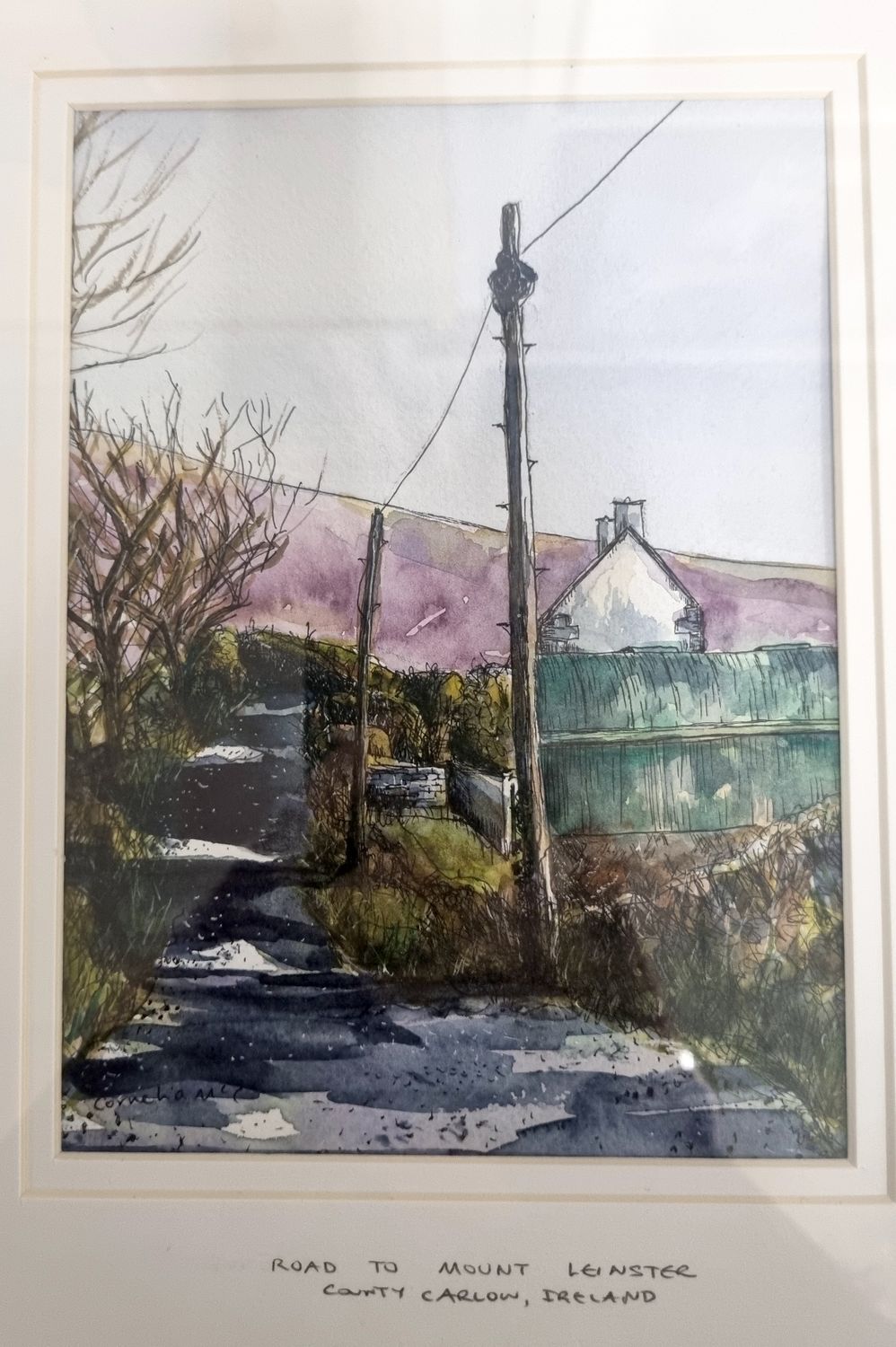 Cornelia McCarthy - Road to Mount Leinster