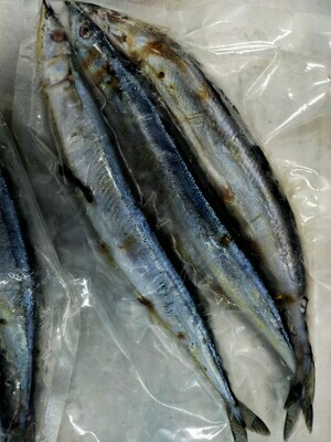 Sanma Fish