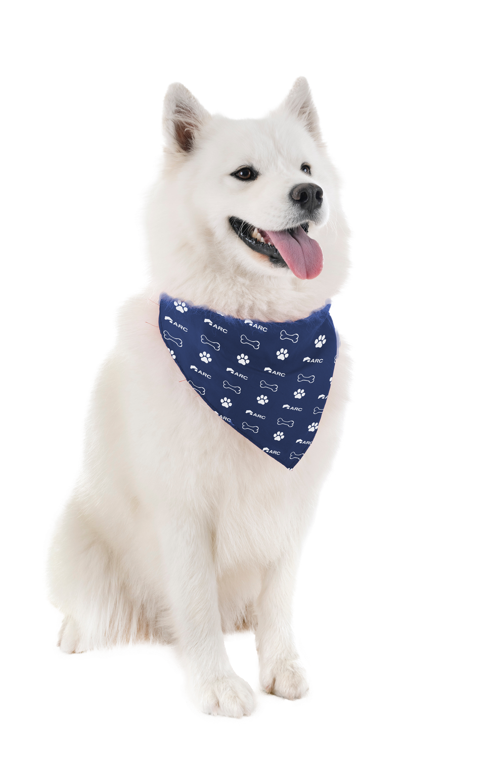 Doggie Bandana