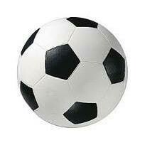 2026/2027 Season Annual Fee (2 Part installment)