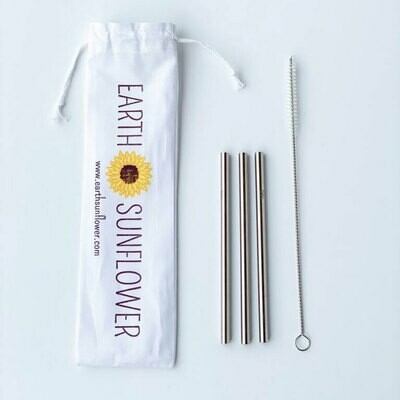 Cocktail Stainless Steel Straws C-SS