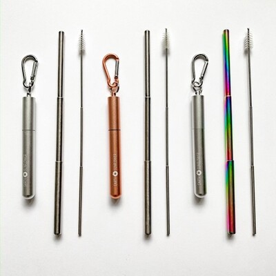 Telescopic Stainless Steel Straws 00018