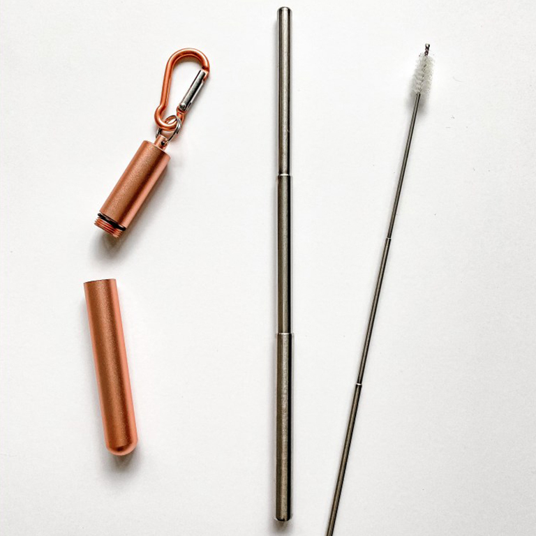 Telescopic Stainless Steel Straws