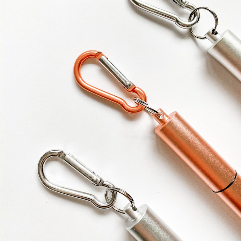 Telescopic Stainless Steel Straws