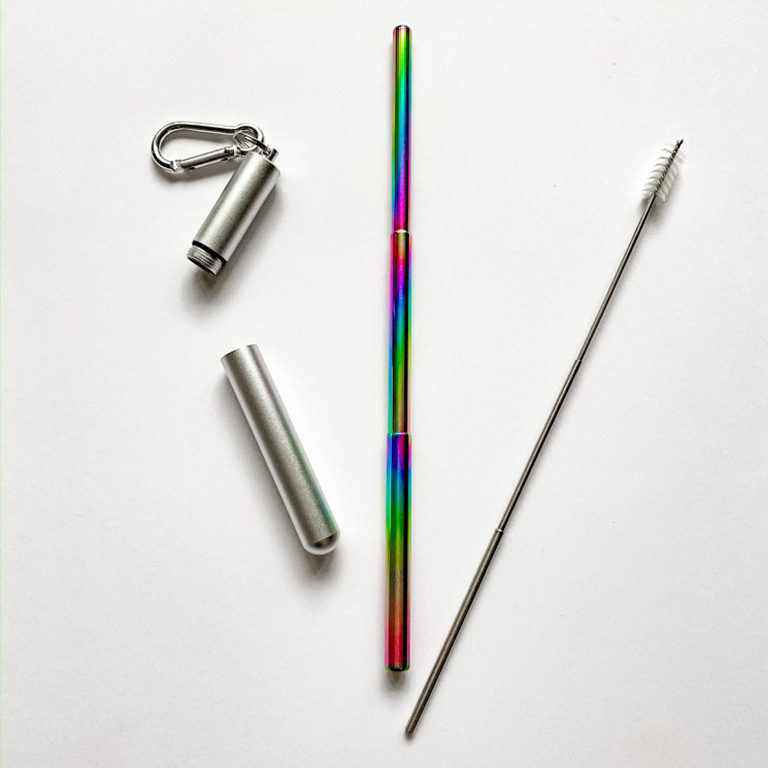 Telescopic Stainless Steel Straws