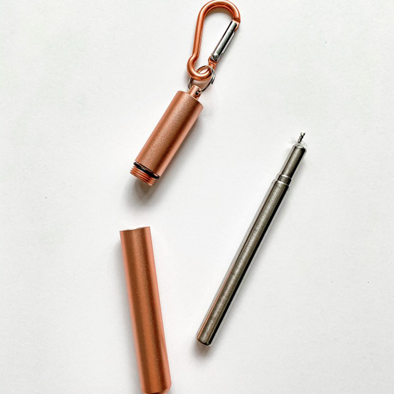 Telescopic Stainless Steel Straws