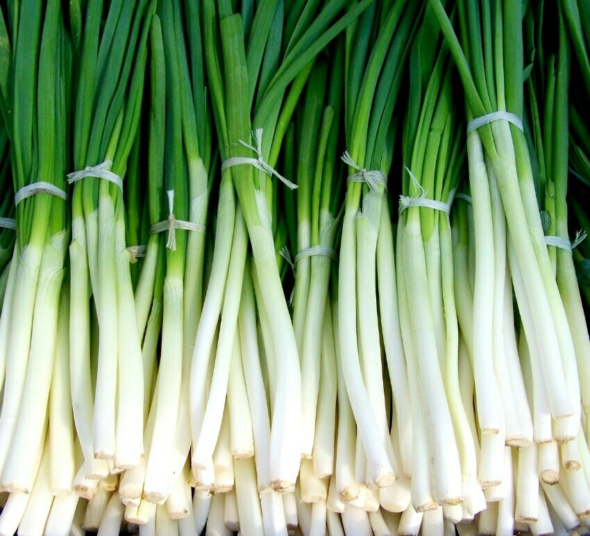 Bunch of Spring Onions | Haywards Butchers & Farmshop