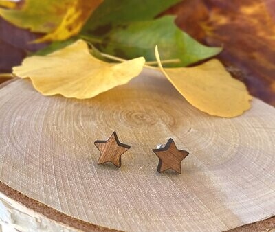 Stern Ohrringe aus Holz