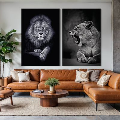 Licensed Collections