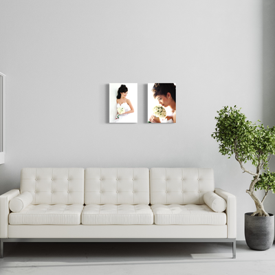 Duo A3 Stretched Canvas