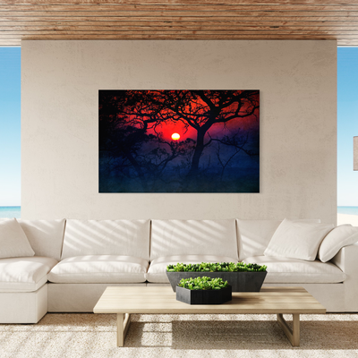 Scenics
