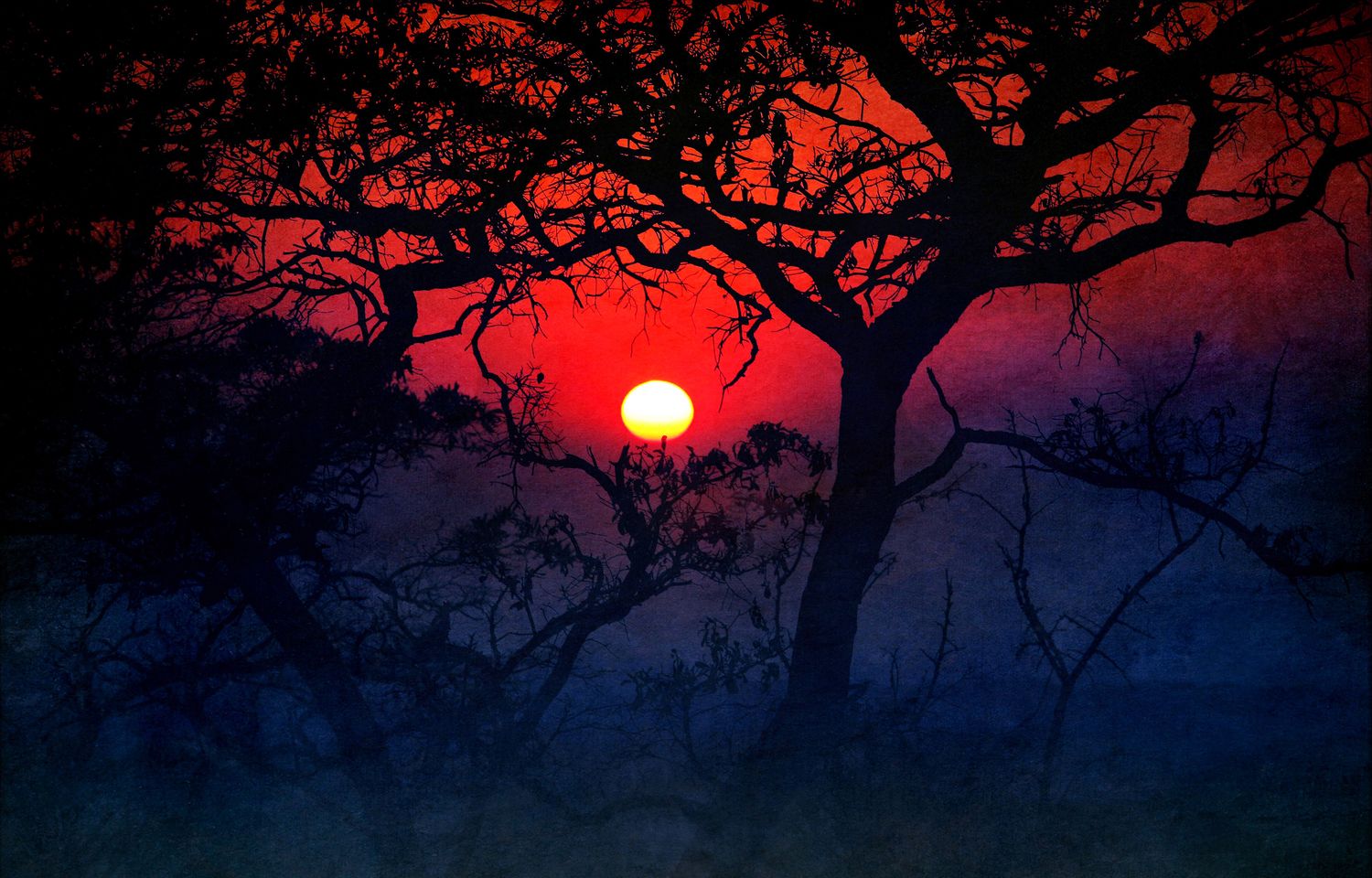 Misty Sunrise Africa