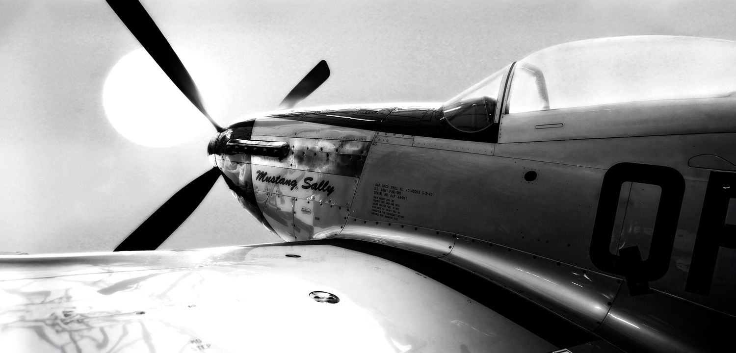 Mustang Sally Mono