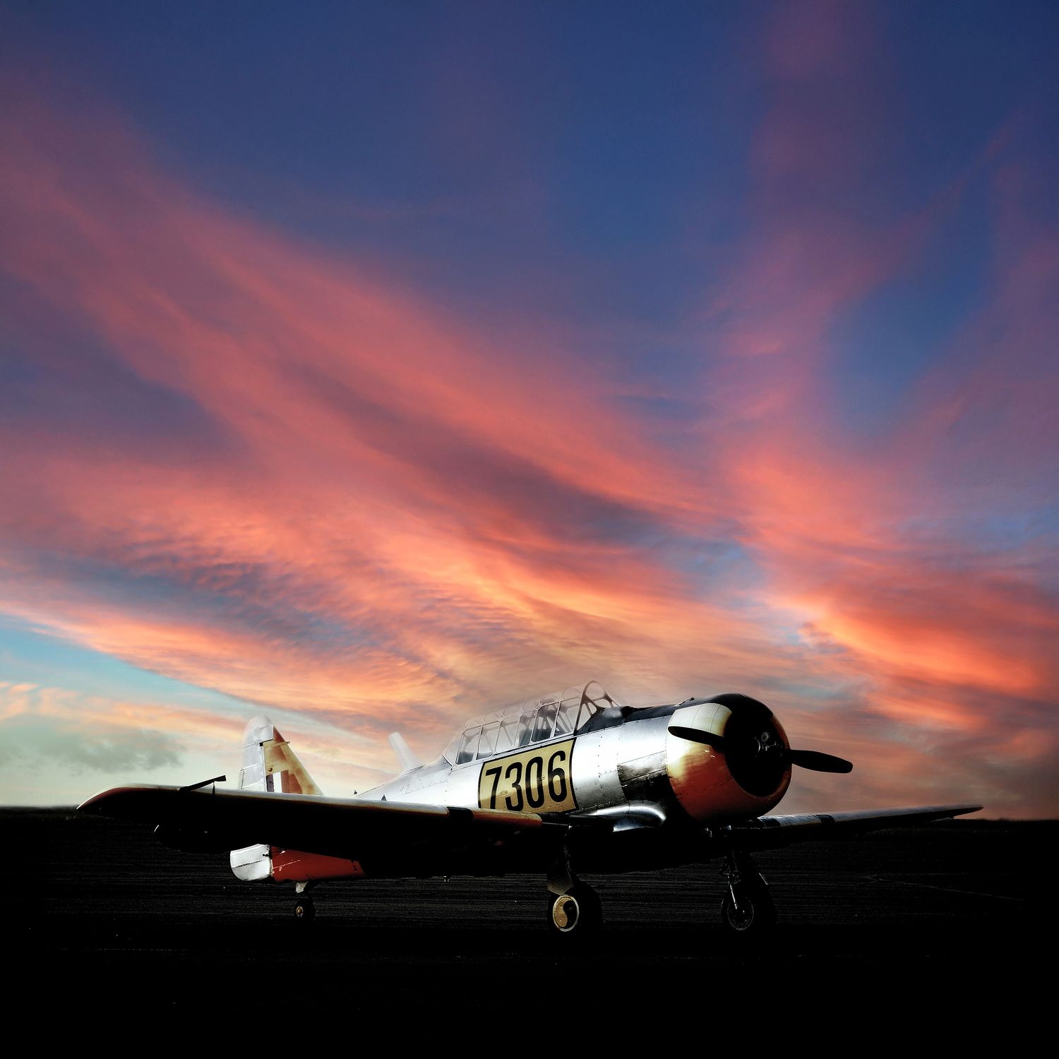 Harvard 7306