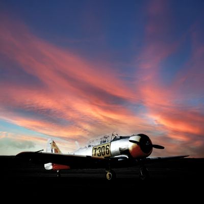 Harvard 7306