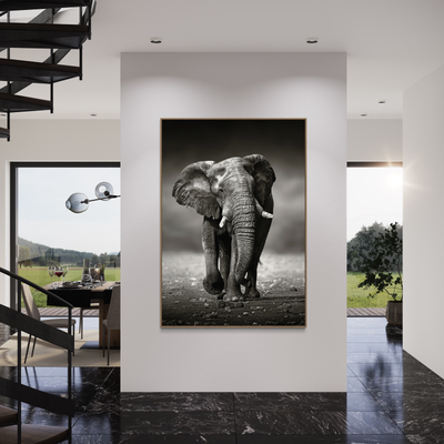 African Elephants