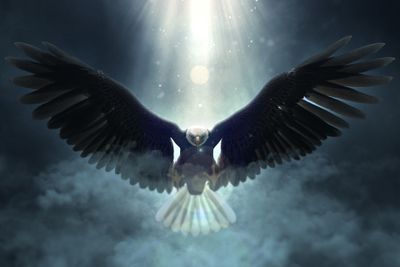 Eagles