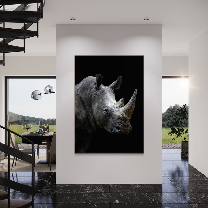 African Rhino