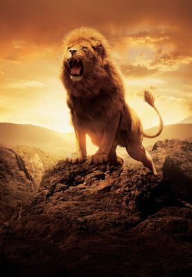 African Lion
