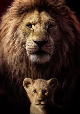 African Lion