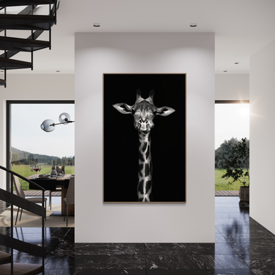 Giraffes