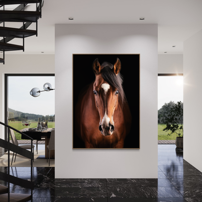 Horses