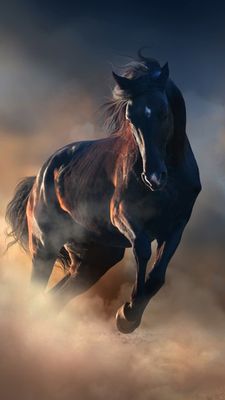 Horses