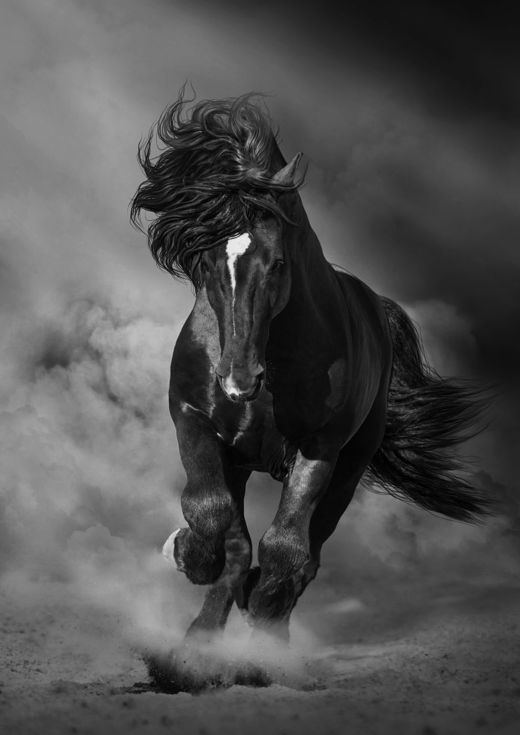 Horses