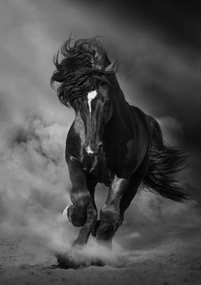 Horses