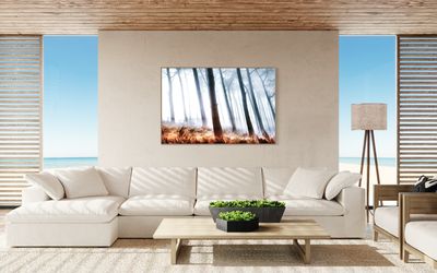 Misty Abstract Forest