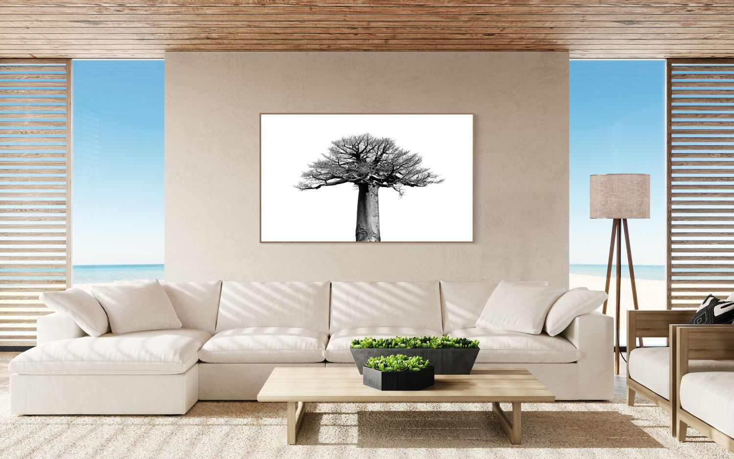 African Baobab Tree