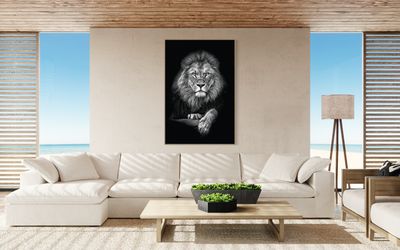 African Lion