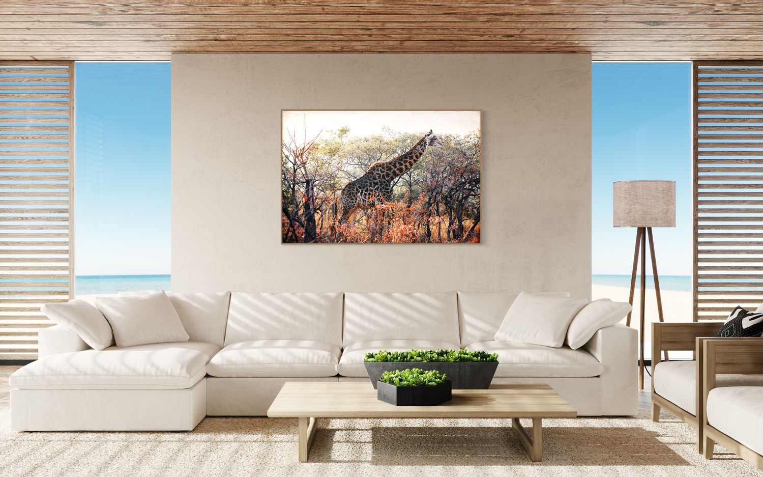 African Giraffe Bull