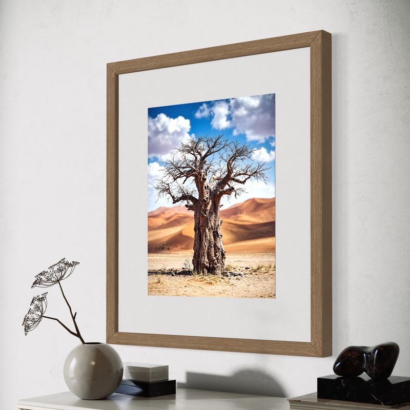 Frame Collection