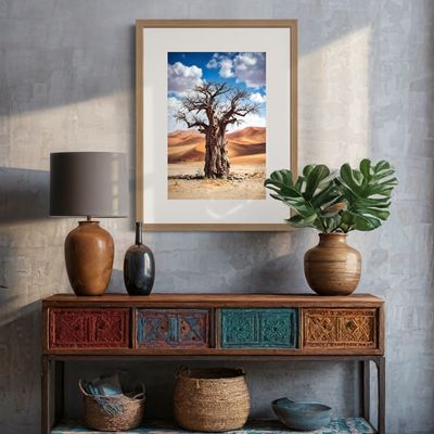 Namib Baobab Tree