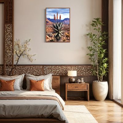African Aloe