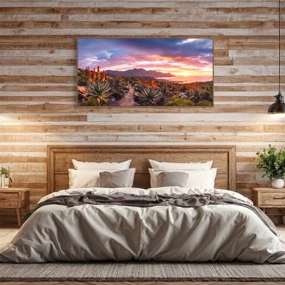 Aloe Sunset Oasis