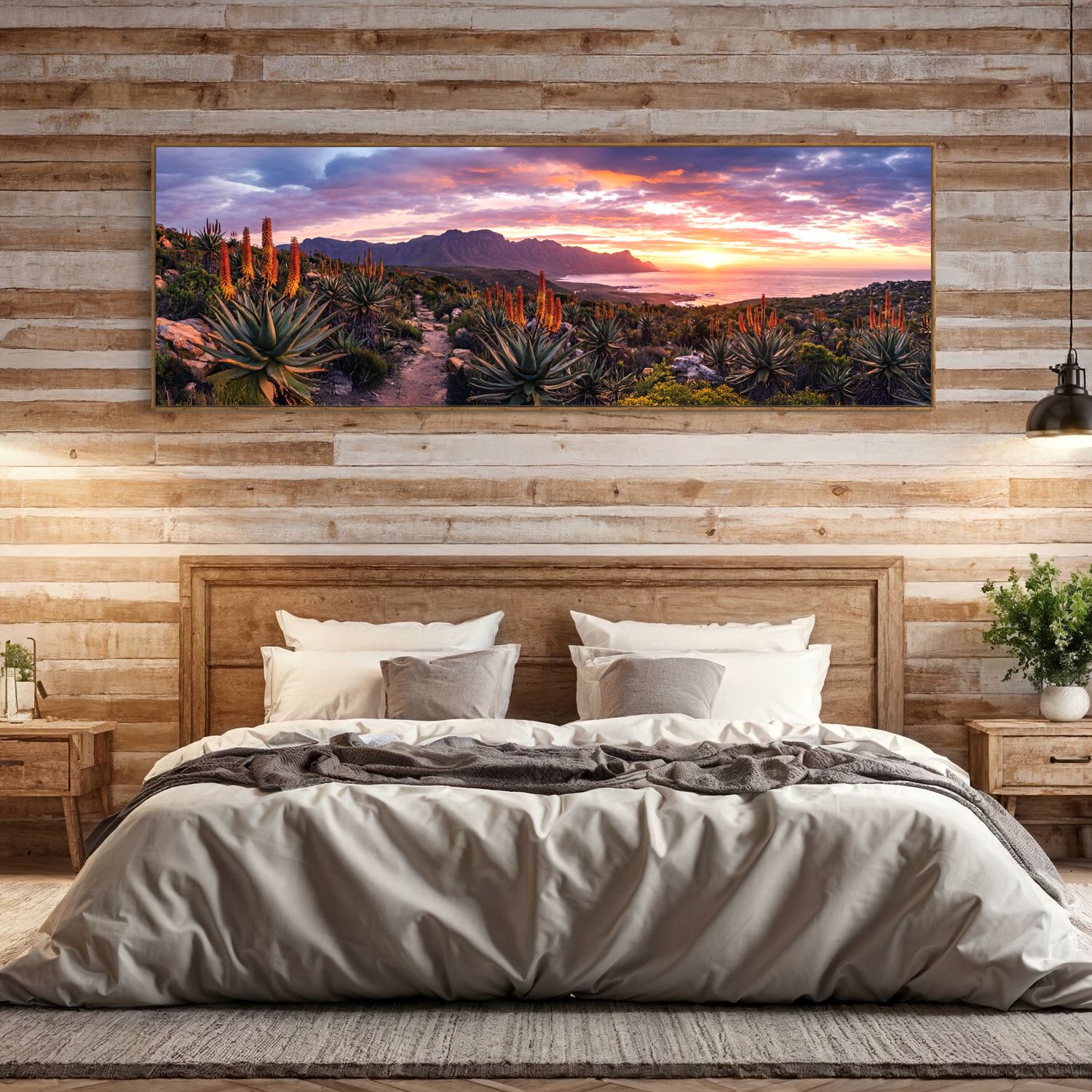 Aloe Oasis