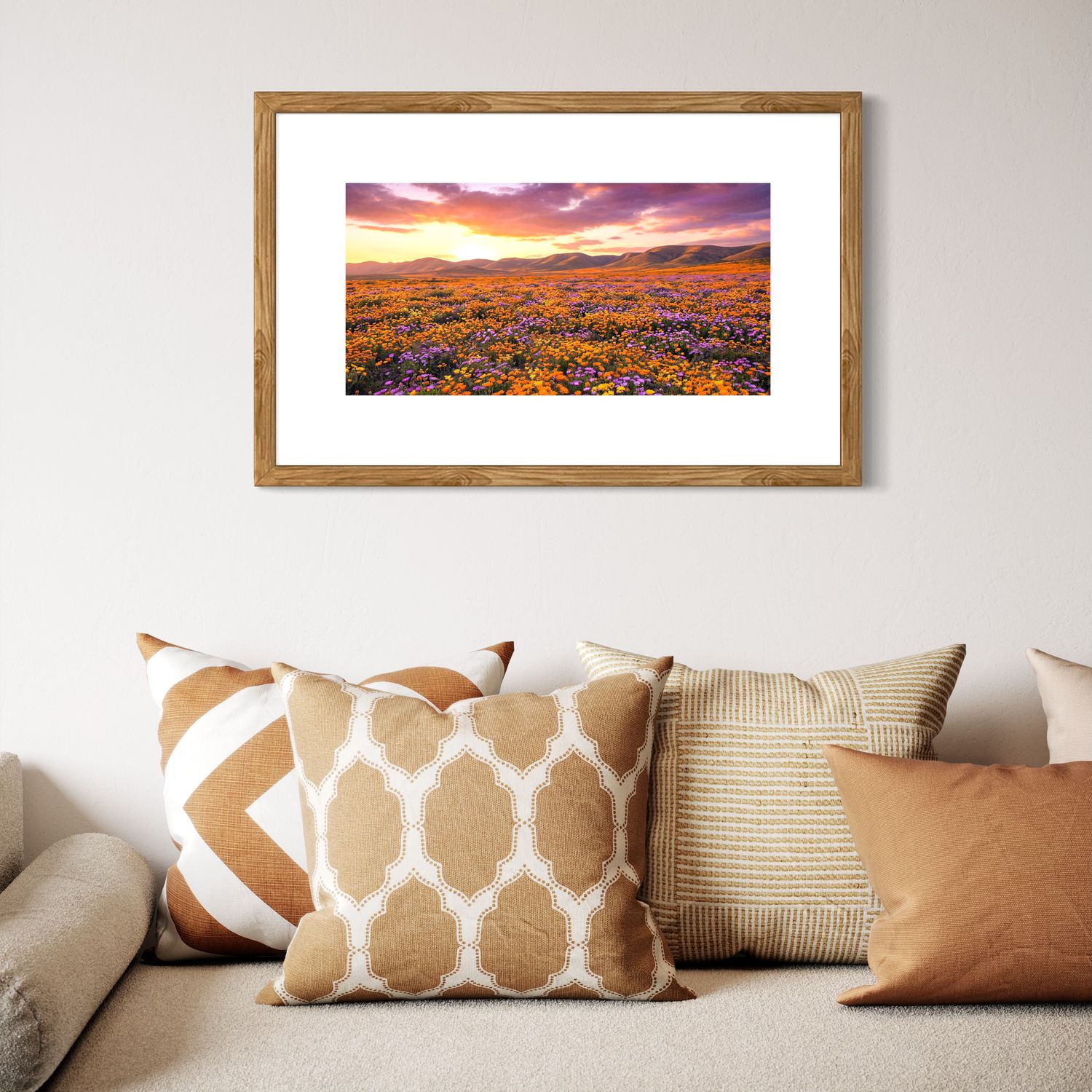Namaqualand’s Floral Symphony