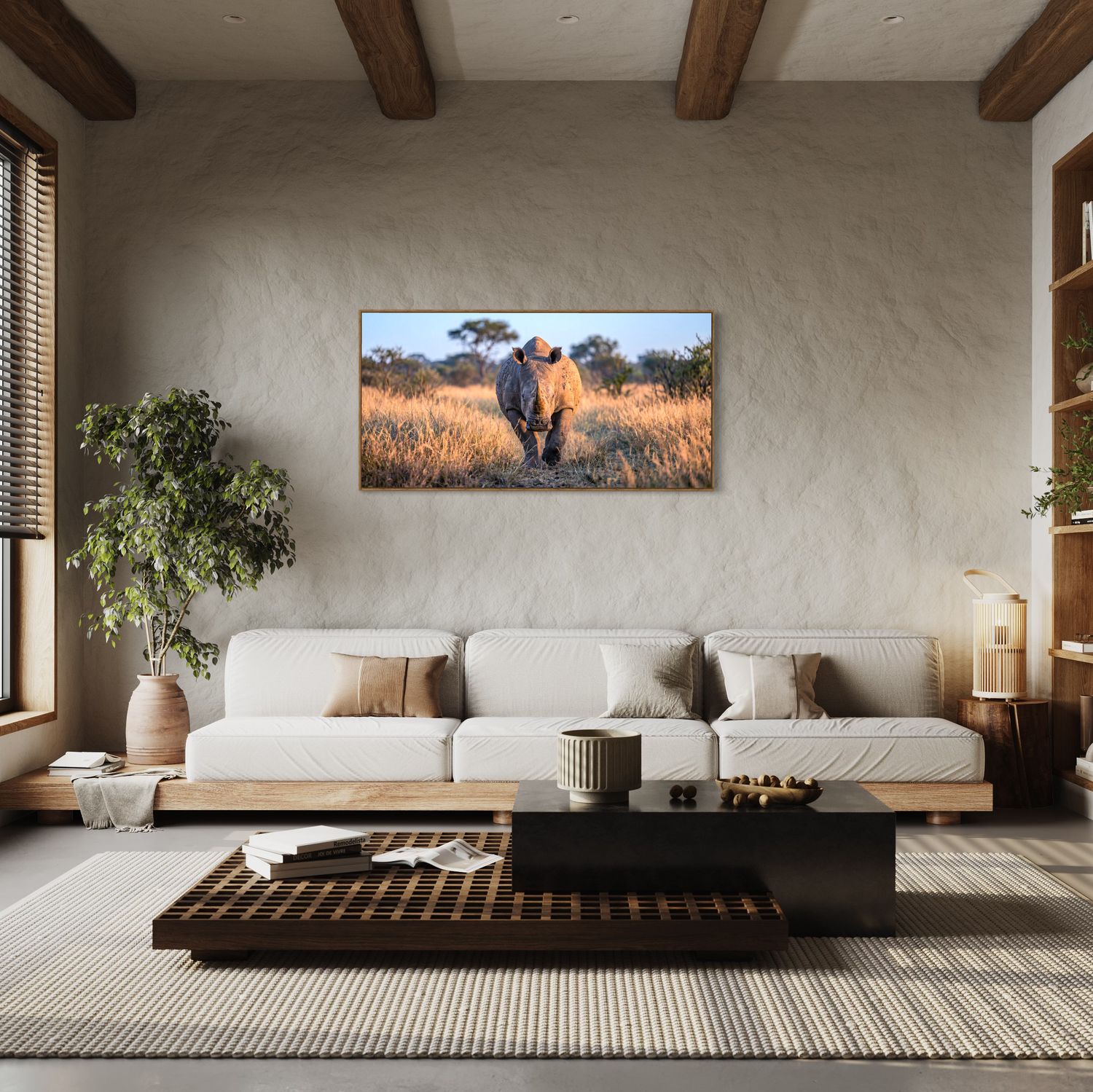 African Rhino