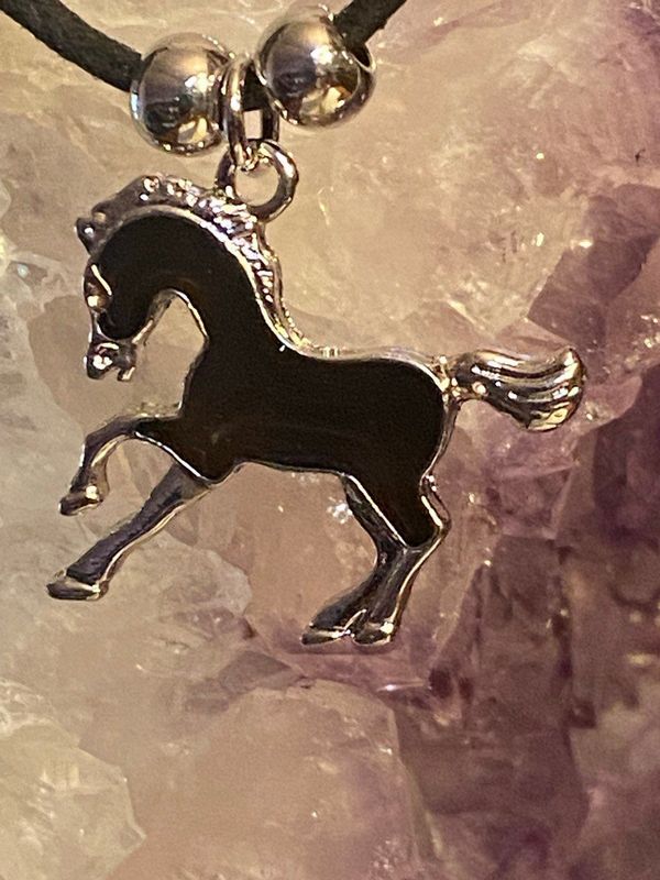 Paua Shell Pferdchenkette (wechselnde Farben je nach Stimmung) Paua Shell Pferdchenkette (wechselnde Farben je nach Stimmung)