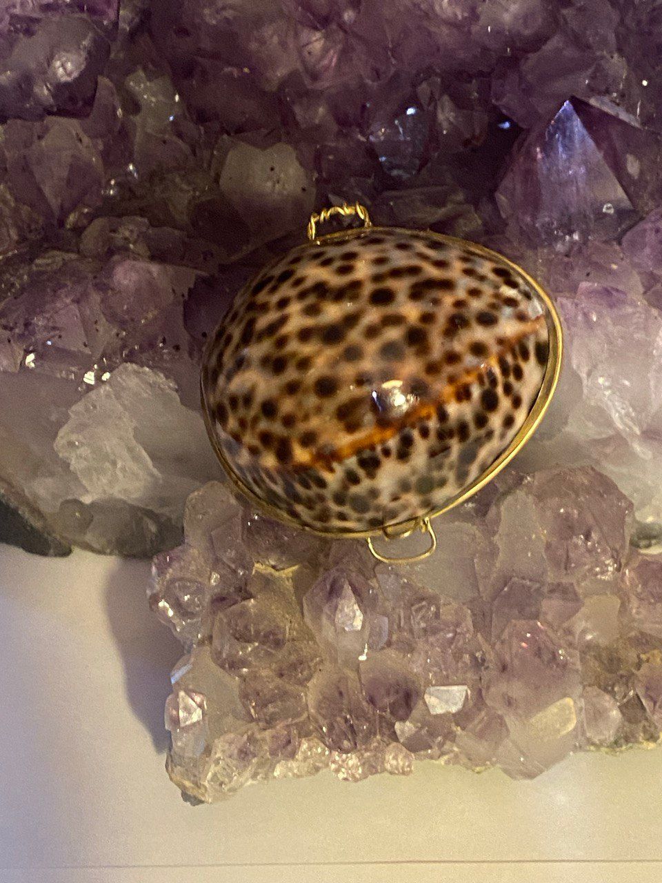 Paua Shell Pillendose Tigerbraun Paua Shell Pillendose Tigerbraun