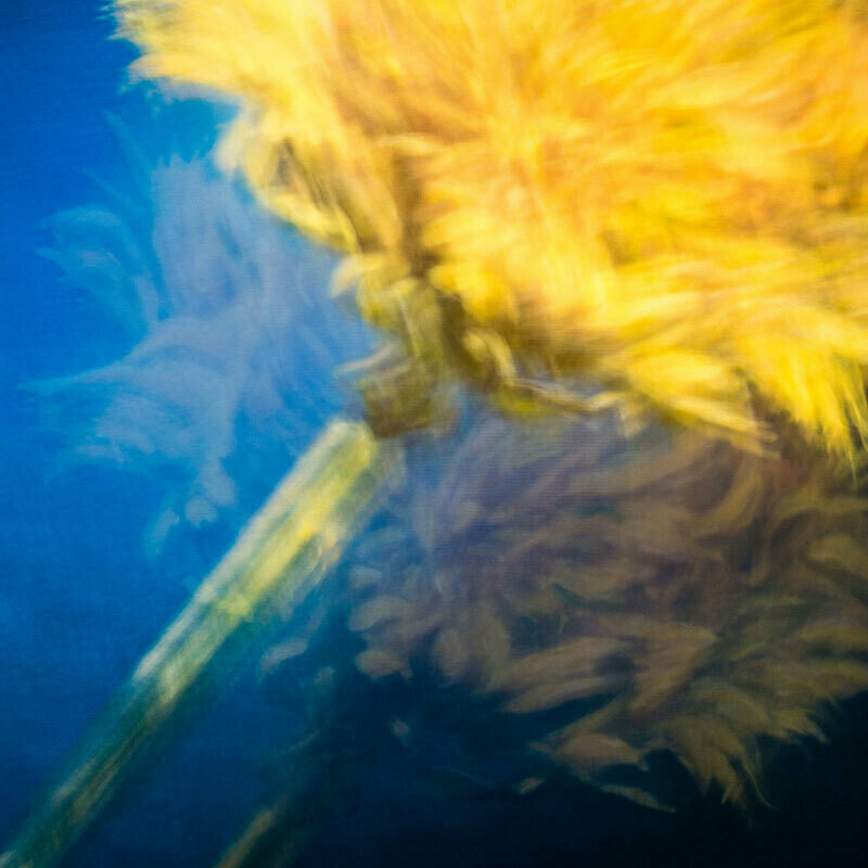 ODEUR NO. 9, Suzanne von Borsody &amp; Mirko Joerg Kellner