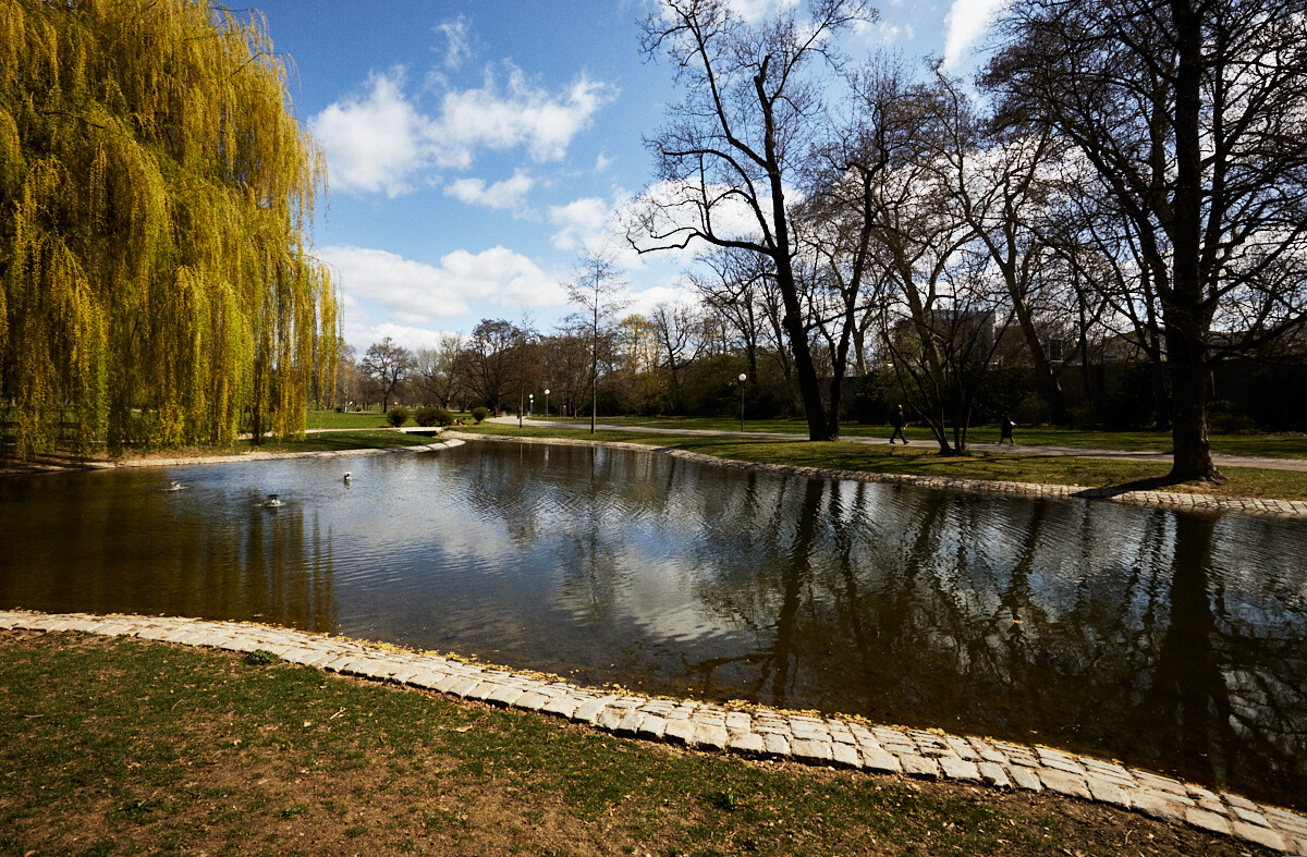 Stuttgart Schlossgarten #4 | Public Parks