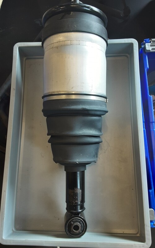 RANGE ROVER SPORT REAR AIR SUSPENSION STRUT LR016419