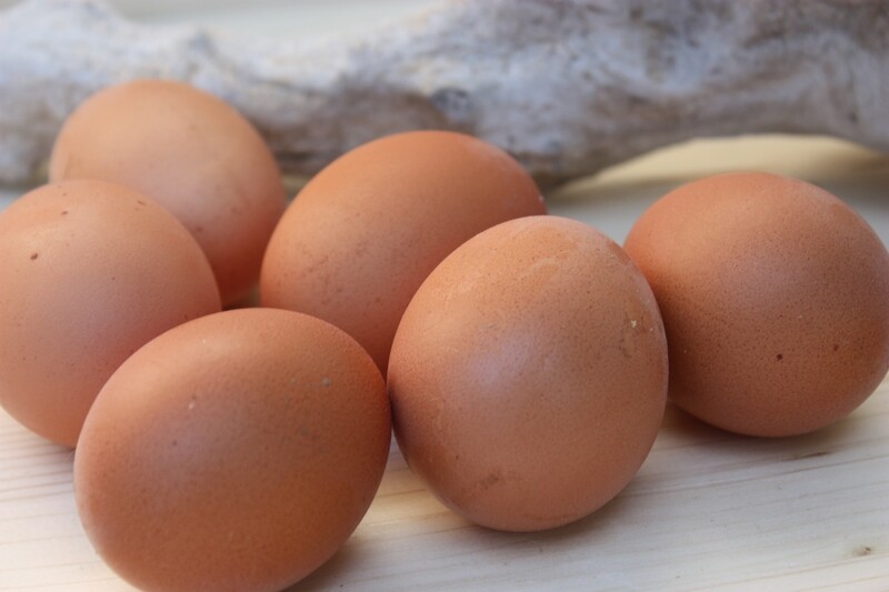 Eier